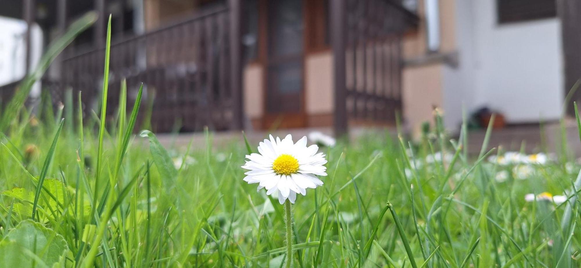 For You Apartman ギュラ エクステリア 写真